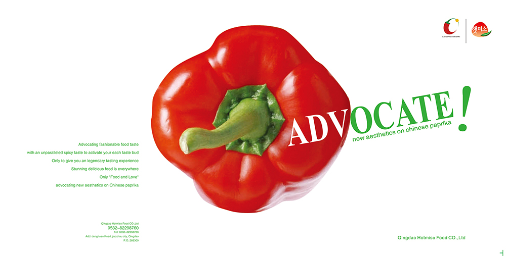 一本好的畫(huà)冊(cè)設(shè)計(jì)執(zhí)行需要注意以下四個(gè)事項(xiàng)