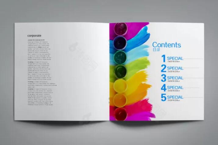 廣州墻面漆行業(yè)畫冊設計圖