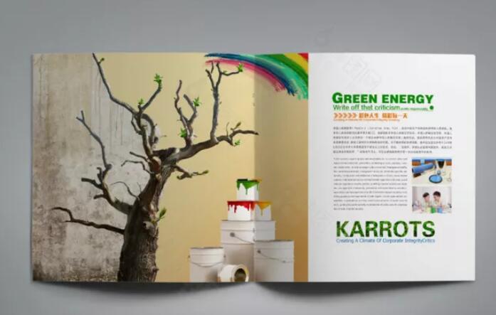 廣州墻面漆行業(yè)畫冊設計圖