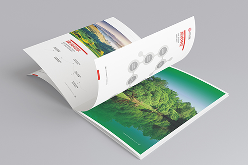 保健類產(chǎn)品宣傳畫冊設(shè)計(jì)公司是怎么設(shè)計(jì)的