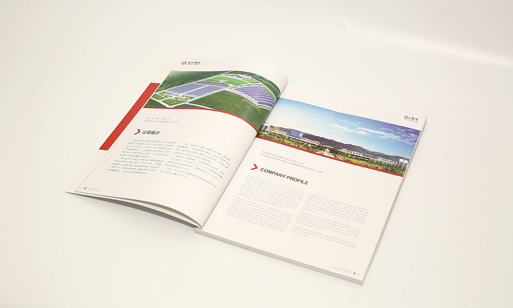 集團(tuán)企業(yè)畫冊設(shè)計(jì)