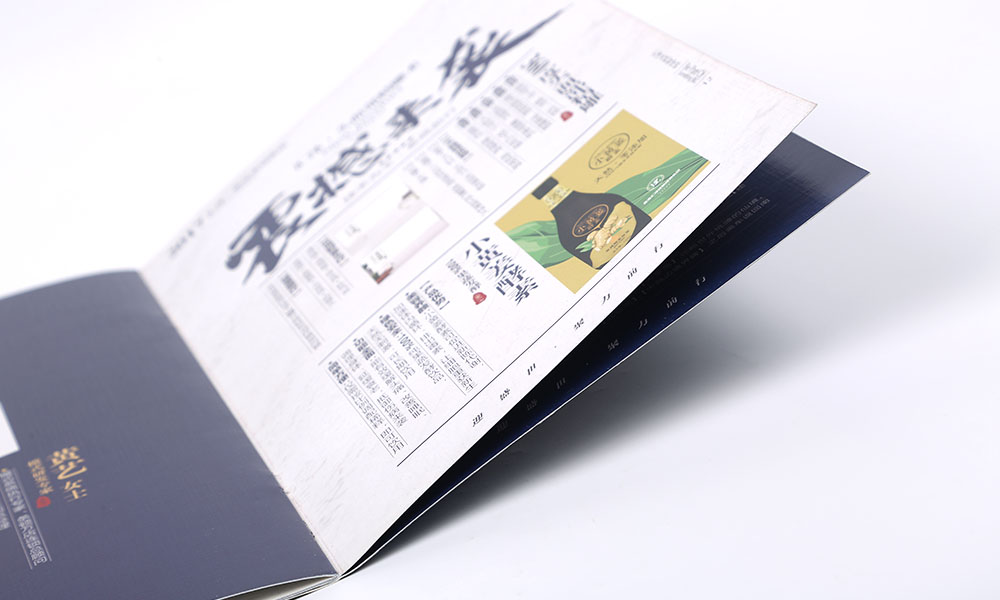 控股投資集團(tuán)畫(huà)冊(cè)設(shè)計(jì)