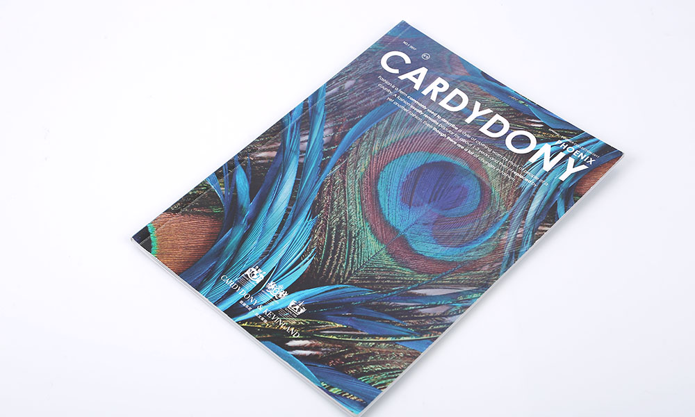 春夏時尚服裝畫冊設(shè)計(jì)-時尚服裝宣傳冊設(shè)計(jì)-品牌服裝圖冊設(shè)計(jì)