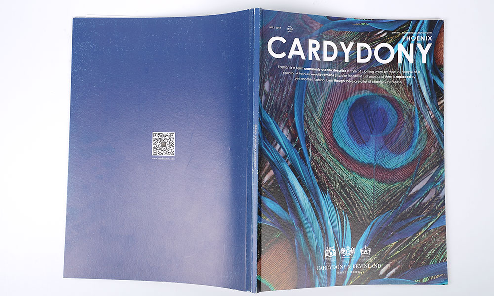 春夏時(shí)尚服裝畫冊(cè)設(shè)計(jì)