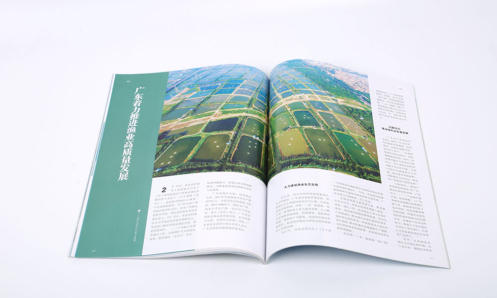 投資企業(yè)畫(huà)冊(cè)設(shè)計(jì)