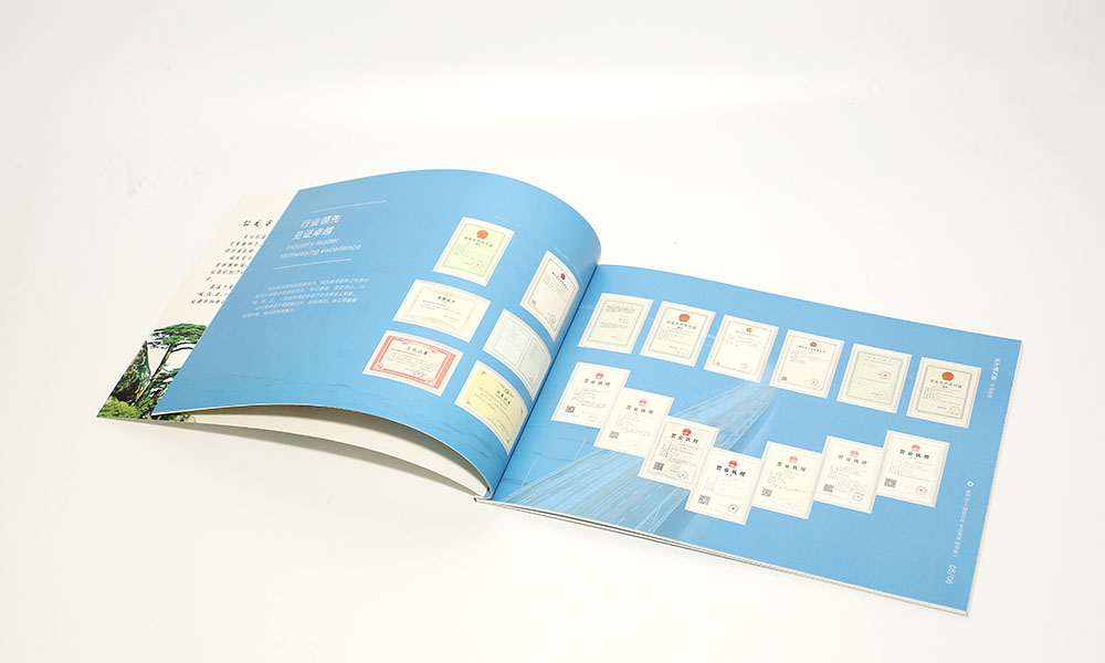 路橋公司畫冊設(shè)計
