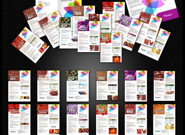 女裝畫冊設(shè)計公司如何去找尋呢？為大家分享秘籍