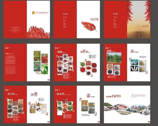 畫冊欄目設(shè)計