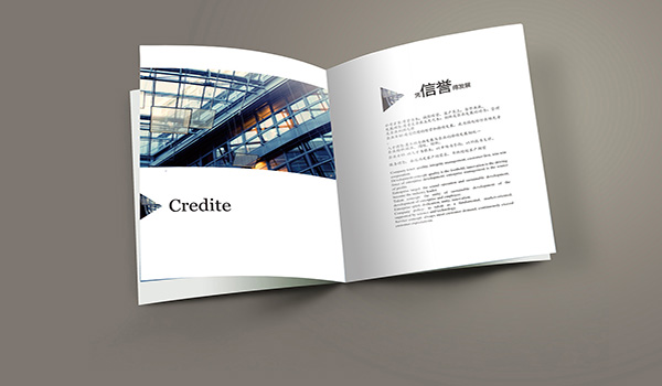 畫(huà)海珠企業(yè)畫(huà)冊(cè)設(shè)計(jì)的收費(fèi)標(biāo)準(zhǔn)是什么？